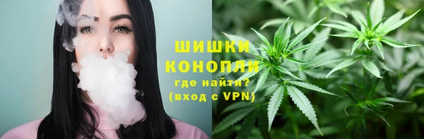 шишки Нягань