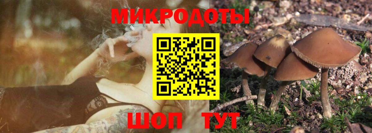 Одинцово  даркнет сайт  Галлюциногенные грибы Magic Shrooms  Вход с VPN  Галлюциногенные грибы Psilocybe 